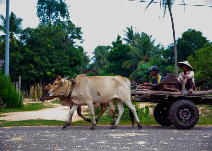 Séjour chez l'habitant Chansor 3 By Siem Reap Homesteading